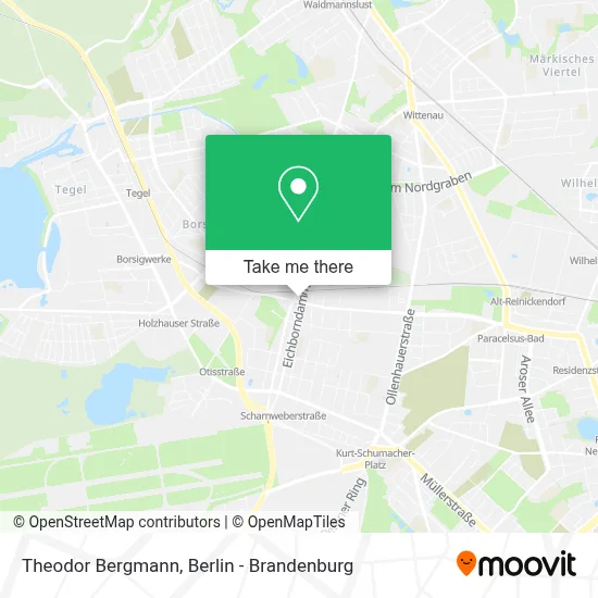 Theodor Bergmann map