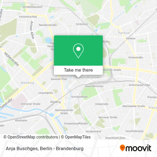 Anja Buschges map