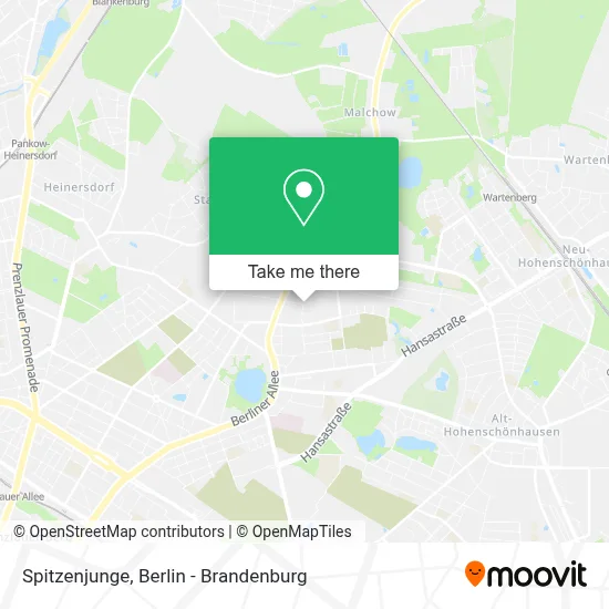 Spitzenjunge map