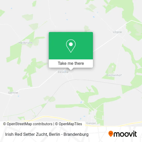 Irish Red Setter Zucht map