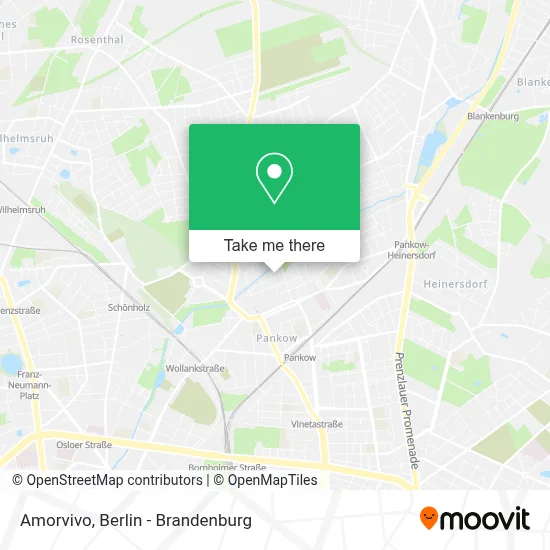 Amorvivo map