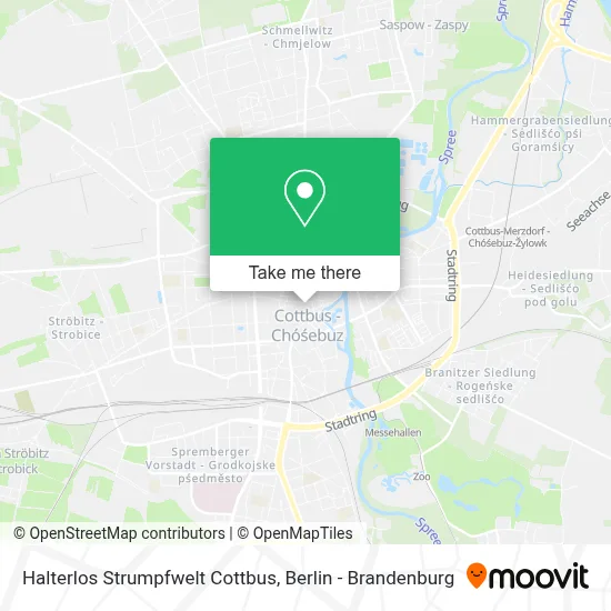 Halterlos Strumpfwelt Cottbus map
