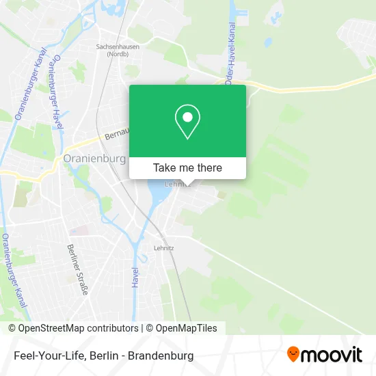 Feel-Your-Life map