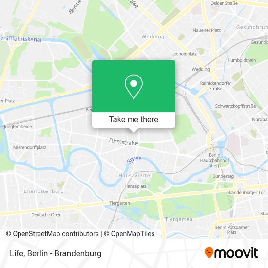 Life map