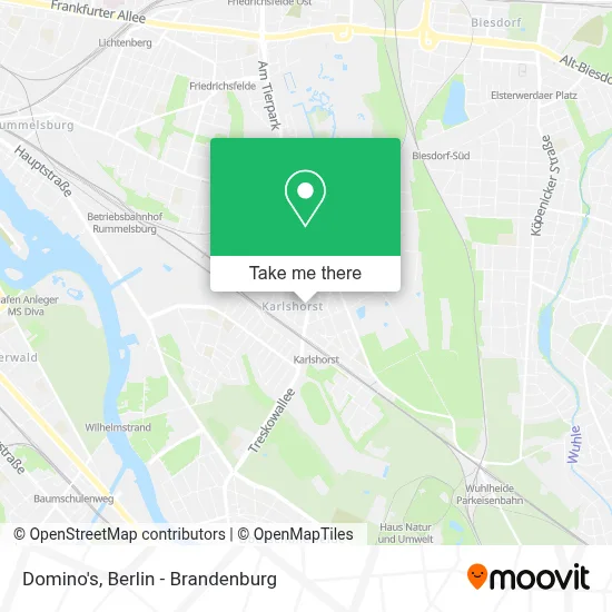 Domino's map