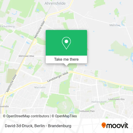 David-3d-Druck map