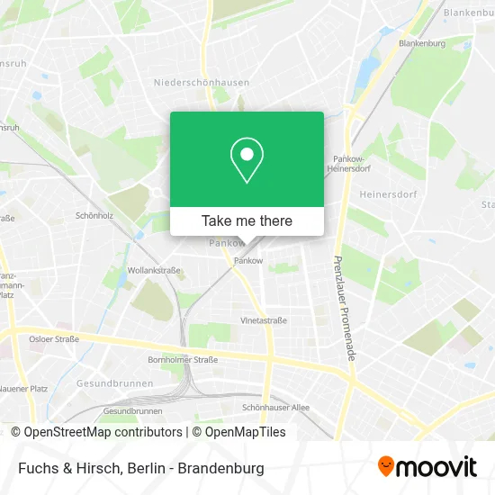 Fuchs & Hirsch map