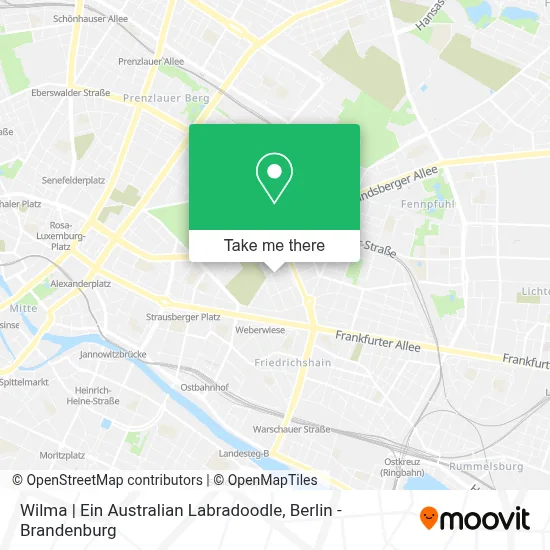 Wilma | Ein Australian Labradoodle map