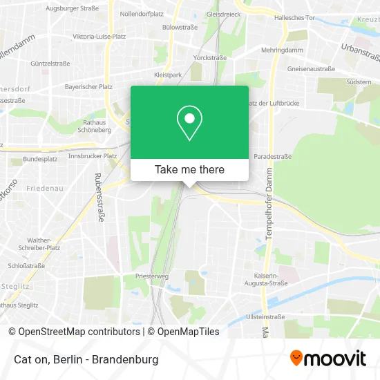 Cat on map
