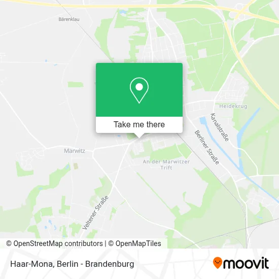 Haar-Mona map