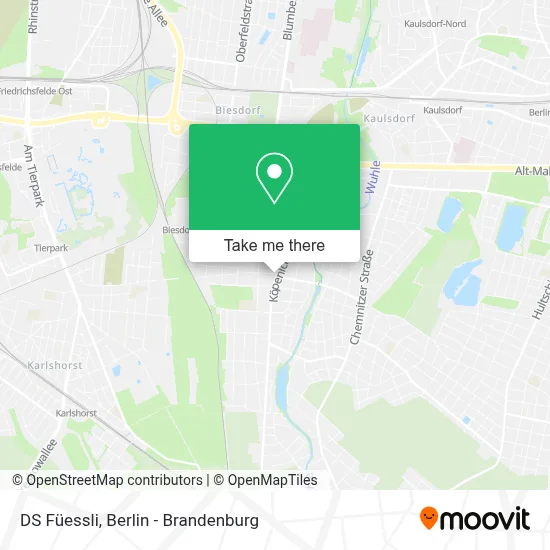 DS Füessli map