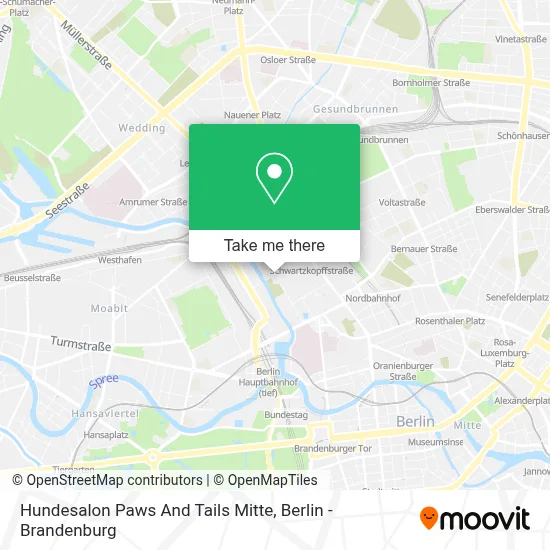Hundesalon Paws And Tails Mitte map