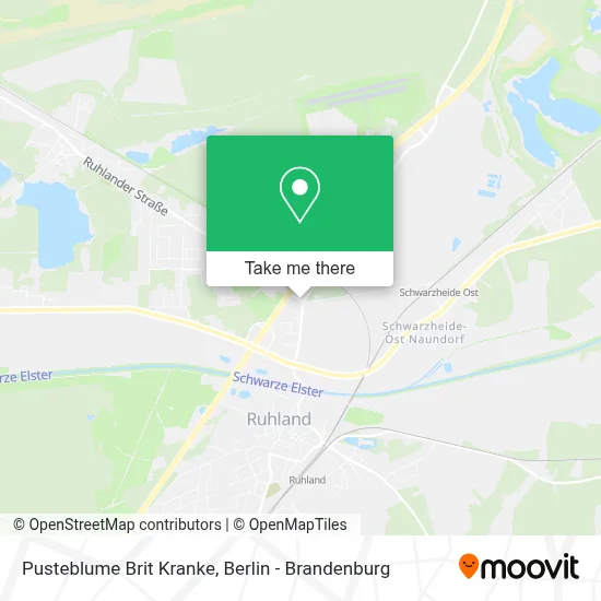 Pusteblume Brit Kranke map