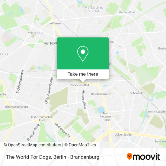 The World For Dogs map