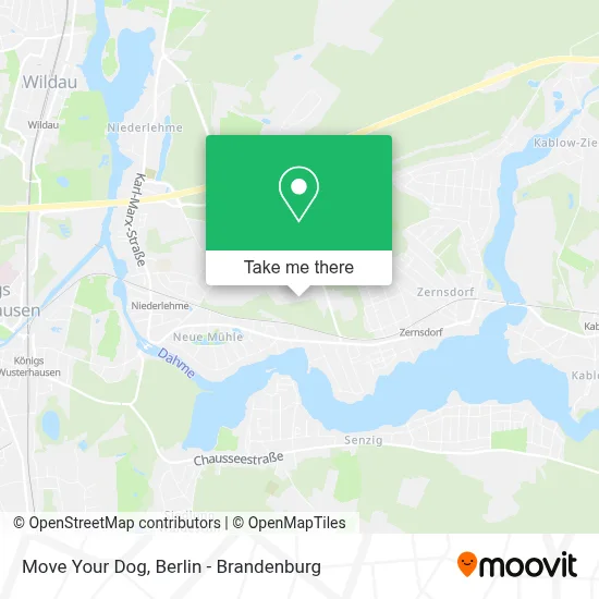 Move Your Dog map