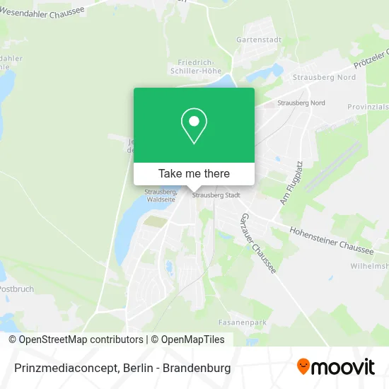 Prinzmediaconcept map