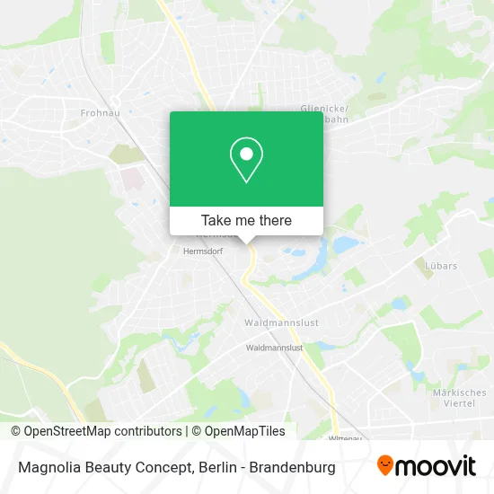 Magnolia Beauty Concept map