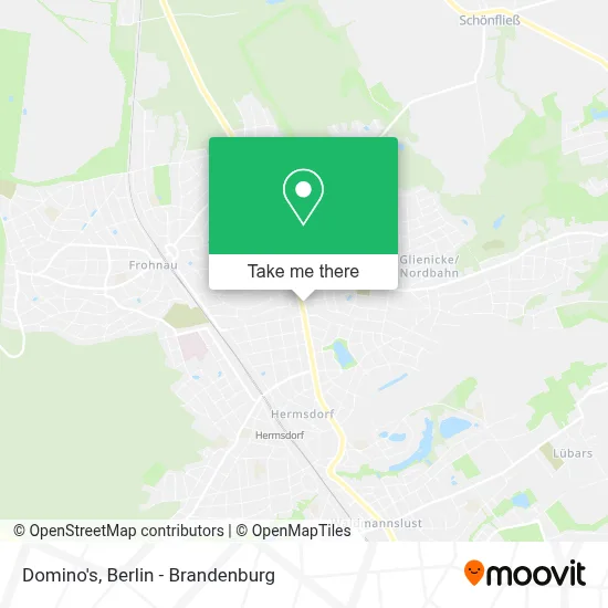 Domino's map