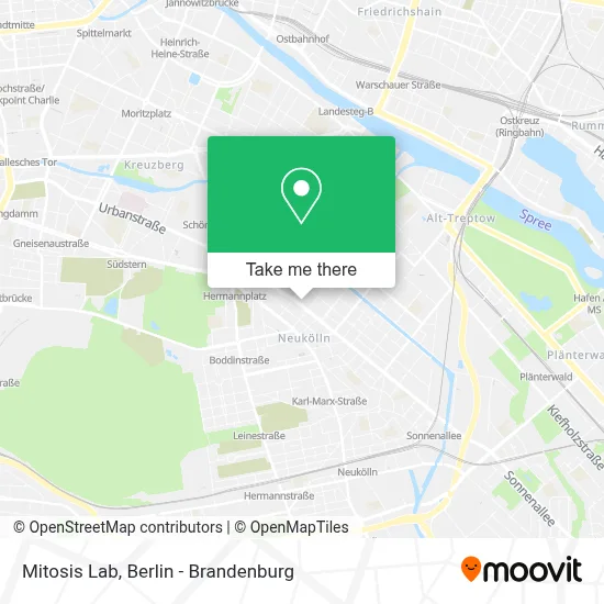 Mitosis Lab map