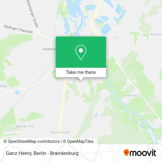 Ganz Henry map
