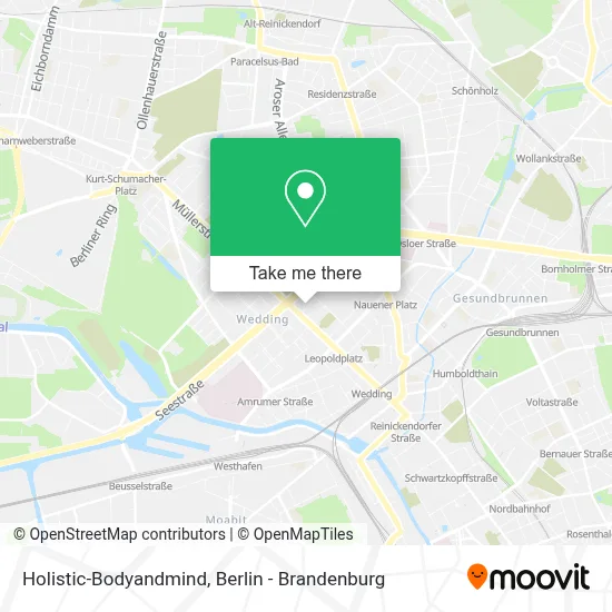 Holistic-Bodyandmind map