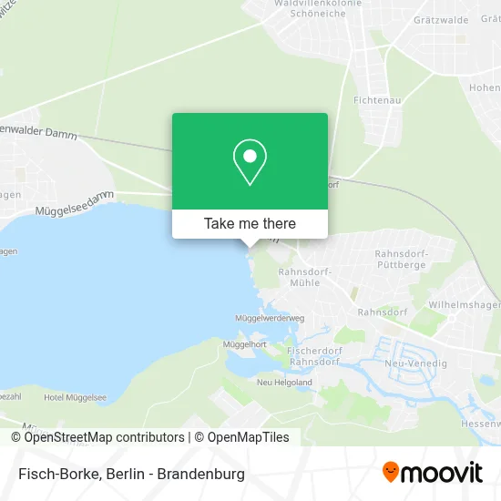 Fisch-Borke map