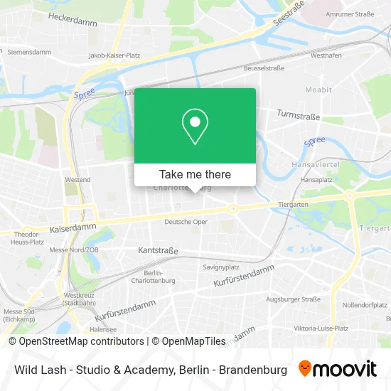 Wild Lash - Studio & Academy map