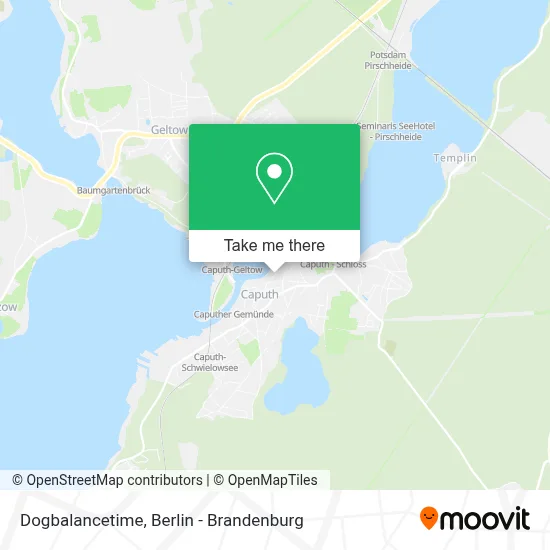 Dogbalancetime map
