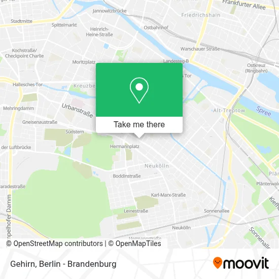 Gehirn map