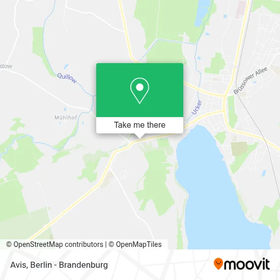 Avis map