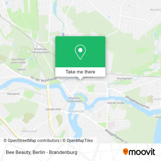 Bee Beauty map