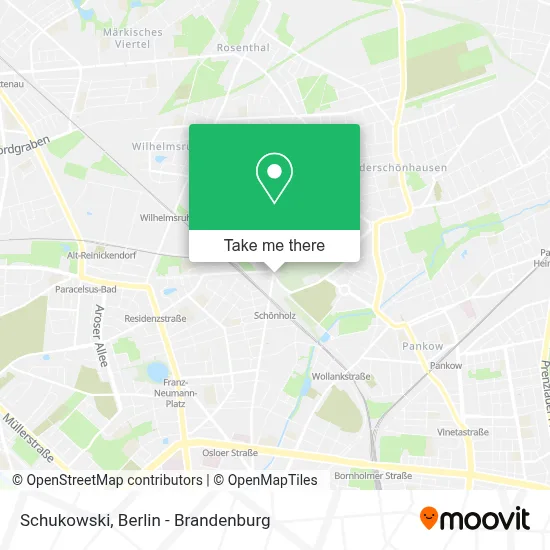 Schukowski map