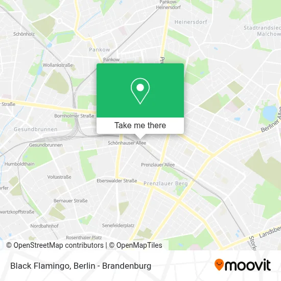 Black Flamingo map