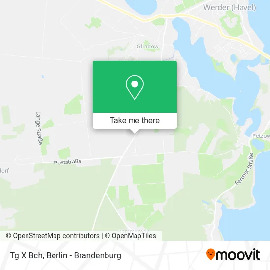 Tg X Bch map