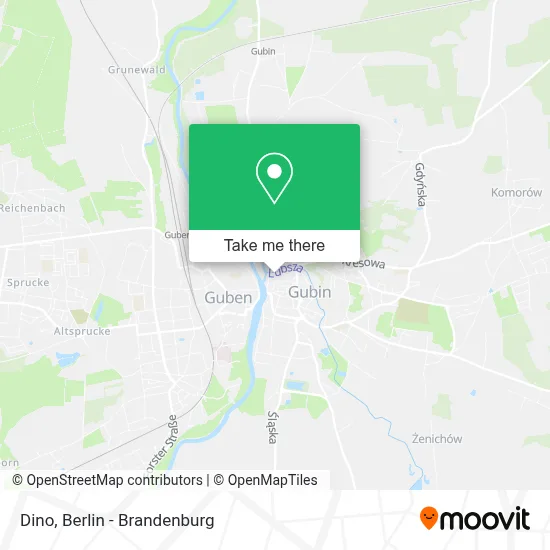 Dino map