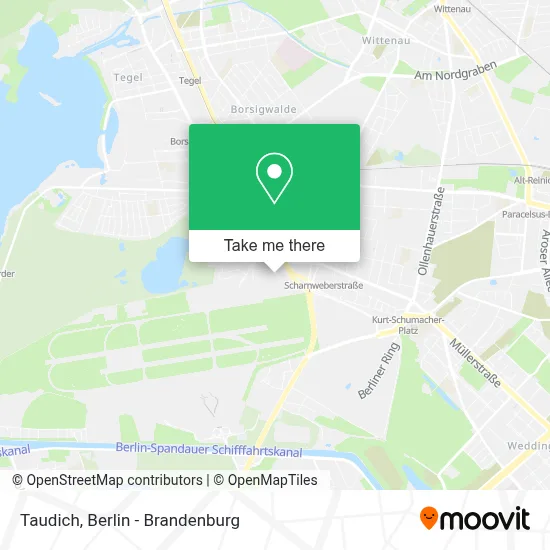Taudich map