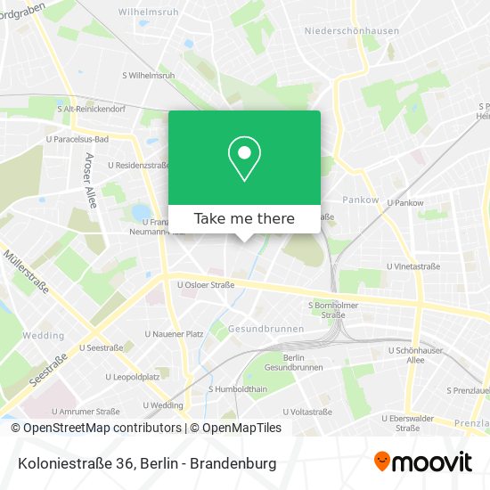 Koloniestraße 36 map