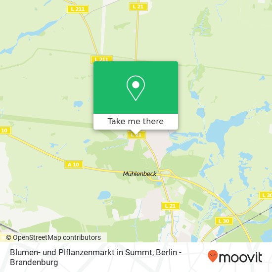 Blumen- und Plflanzenmarkt in Summt map