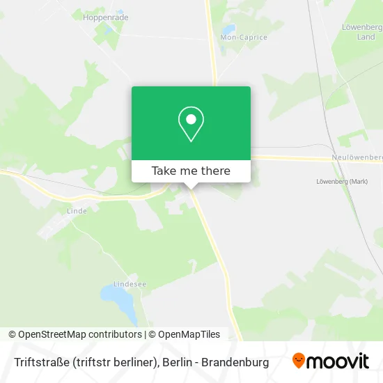 Карта Triftstraße (triftstr berliner)