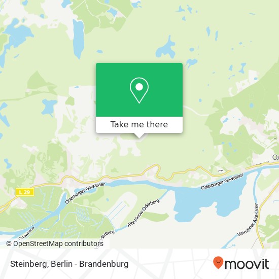 Steinberg map