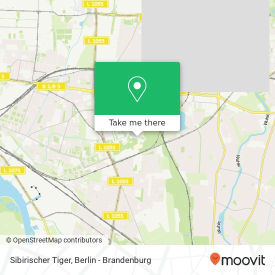 Sibirischer Tiger map