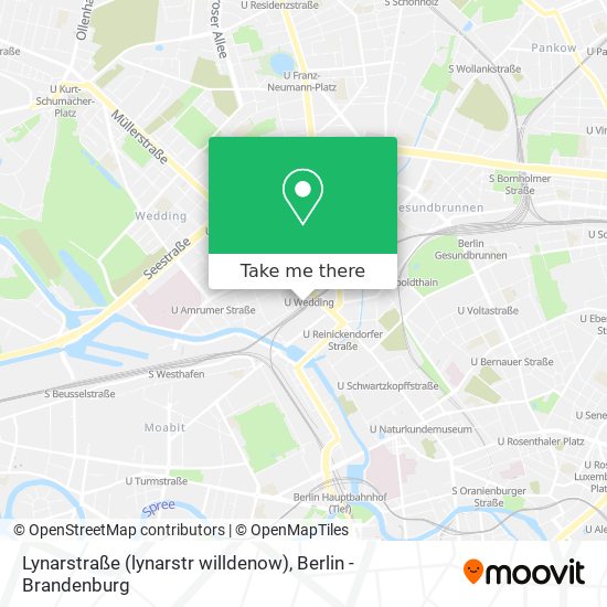 Lynarstraße (lynarstr willdenow) map
