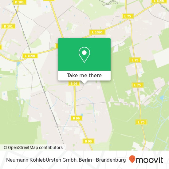 Neumann KohlebÜrsten Gmbh map