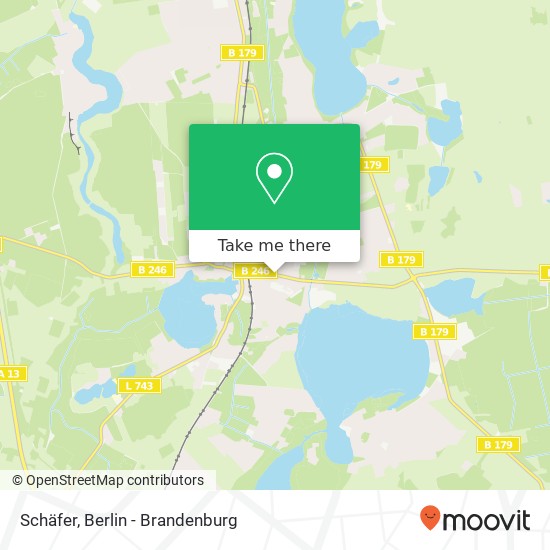 Schäfer map