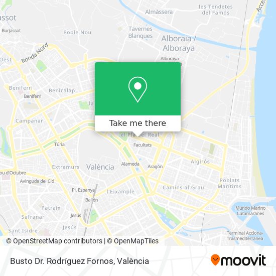 Busto Dr. Rodríguez Fornos map