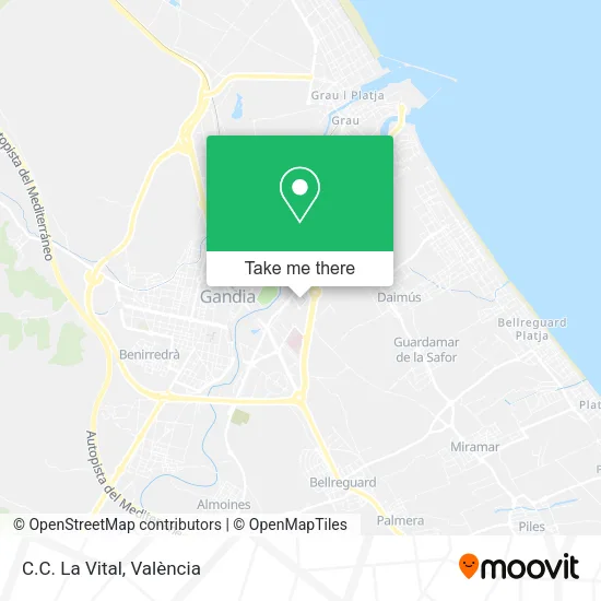 mapa C.C. La Vital