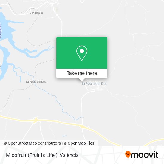 Micofruit (Fruit Is Life ) map