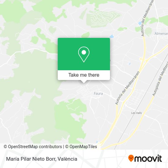 María Pilar Nieto Borr map