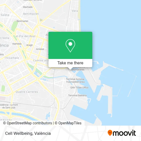 Cell Wellbeing map