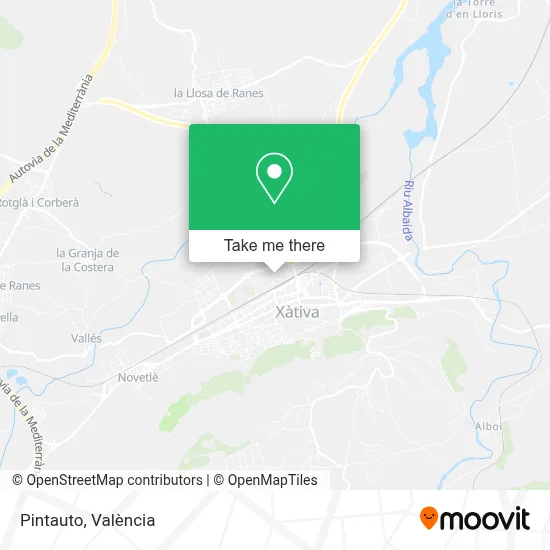 Pintauto map